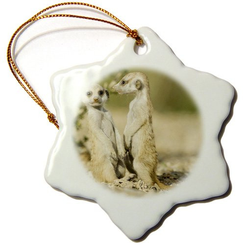 3dRose orn_73467_1 Namibia, Keetmanshoop, Meerkat, Namib Desert, Mongoose-Af31 Pso0159-Paul Souders-Snowflake Ornament, 3-Inch, Porcelain 3dRose orn_73467_1 Namibia, Keetmanshoop, Meerkat, Namib Desert, Mongoose-Af31 Pso0159-Paul Souders-Snowflake Ornament, 3-Inch, Porcelain