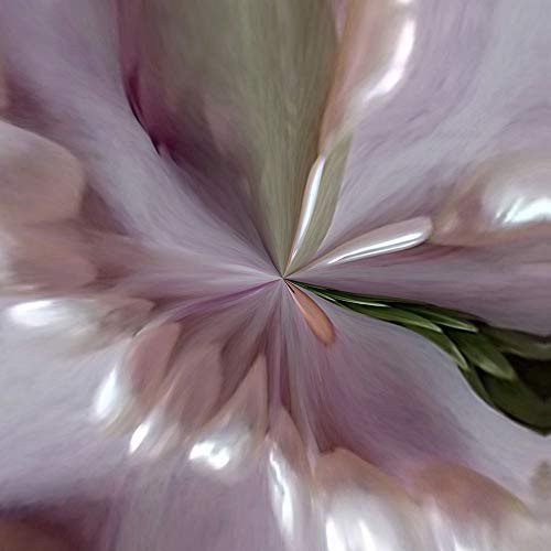Posterazzi PDXCA071953SMALL Nature B Photo Print, 18 x 18, Multi