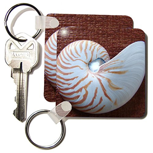 3dRose Nautilus Shell II - Key Chains, 2.25 x 4.5 inches, set of 2 (kc_18986_1)