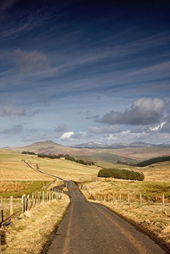 Posterazzi Northumberland England; A Road With Fields On Both Sides Poster Print (12 x 19)