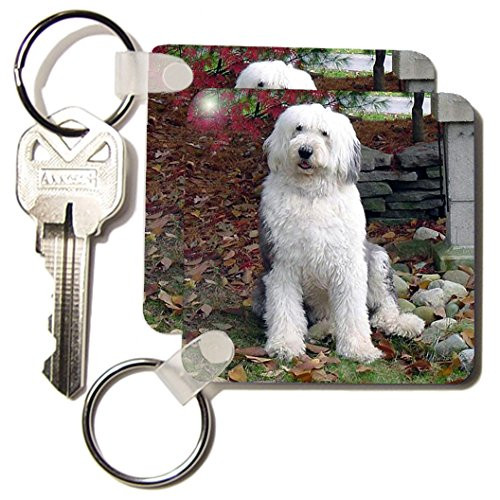 3dRose Old English Sheepdog - Key Chains, 2.25 x 4.5 inches, set of 2 (kc_1070_1)