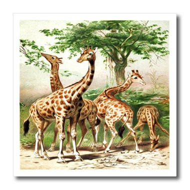 3dRose ht_44886_3 Old Painting of Giraffes Iron on Heat Transfer for White Material, 10 by 10"