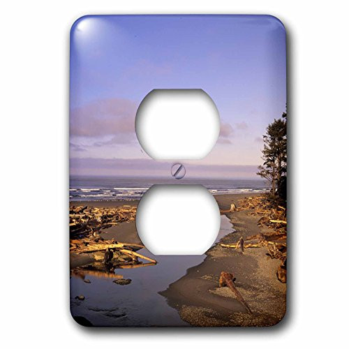 3dRose lsp_95961_6 Olympic NP, Beach and Kalaloch Creek-US48 JWI1316-Jamie and Judy Wild 2 Plug Outlet Cover, Multicolor