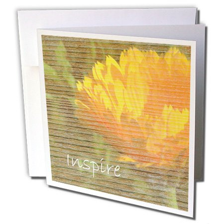 3dRose Orange Flower Inspire Motivational quotes - Greeting Cards, 6 x 6 inches, set of 12 (gc_29445_2)