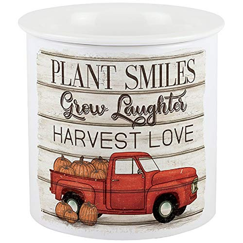 Carson Plant Smiles Dip Chiller