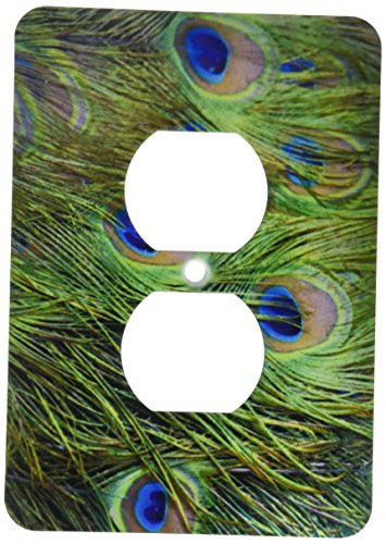 3dRose LLC 3dRose LLC lsp_132882_6 Peacock feathers, Manila, Philippines - AS29 KSU0018 - Keren Su - 2 Plug Outlet Cover