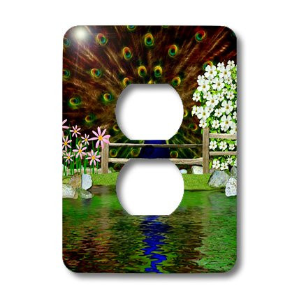 3dRose LLC lsp_23318_6 Peacock Reflections, 2 Plug Outlet Cover