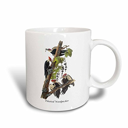 3dRose 114053_3 Pileated Woodpecker By John James Audubon Magic Transforming Mug, 11 oz, Black/White