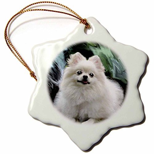 3dRose Pomeranian Snowflake Porcelain Ornament, 3-Inch