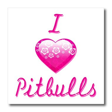 3dRose ht_121722_1 Pretty Pink Flowery I Love Pitbulls Iron on Heat Transfer, 8 by 8-Inch, for White Material