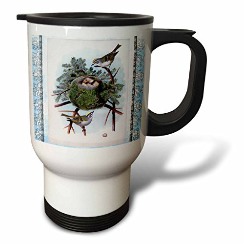 3dRose Vintage Blue and Brown Birds with Nest, Blue Background, Stainless Steel Travel Mug, 14-Oz