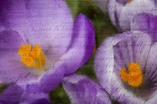 Posterazzi PDXKARC1385ASMALL Purple Days Photo Print, 24 x 18, Multi