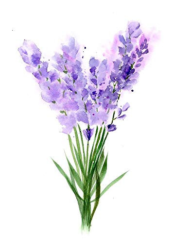 Posterazzi PDXOG1270SMALL Purple Flowers V Photo Print, 18 x 24, Multi