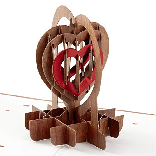 Hallmark Signature Paper Wonder Wood Pop Up Anniversary Card, Romantic Birthday Card, Love Card (Love You) Hallmark Signature Paper Wonder Wood Pop Up Anniversary Card, Romantic Birthday Card, Love Card (Love You)