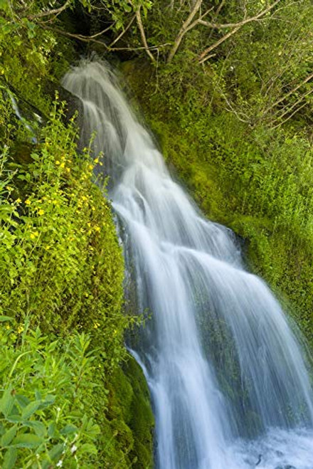 Posterazzi PDDUS38SWR0270 Roadside Waterfall Near, Mt. Hood National Forest, Oregon Photo Print, 18 x 24, Multi