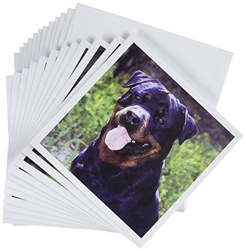 3dRose Rottweiler - Greeting Cards, 6 x 6 inches, set of 12 (gc_4369_2)