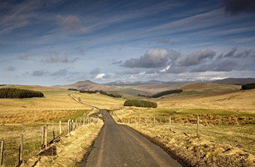 Posterazzi Scottish Borders Scotland; A Road With Fields On Both Sides Poster Print (19 x 12) Posterazzi Scottish Borders Scotland; A Road With Fields On Both Sides Poster Print (19 x 12)