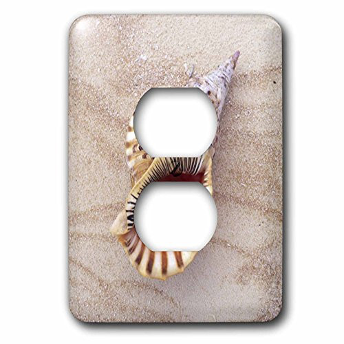 3dRose LLC lsp_83384_6 Seashell On Beach Na01 Dpb0020 Douglas Peebles 2 Plug Outlet Cover