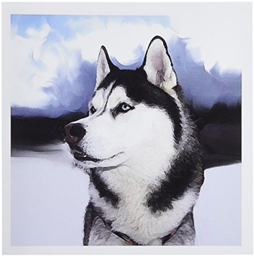 3dRose Siberian Husky - Greeting Cards, 6 x 6 inches, set of 12 (gc_4438_2)