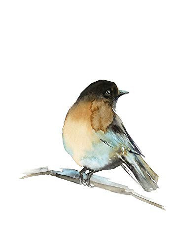 Posterazzi PDXSV1458SMALL Side Eye Photo Print, 18 x 24, Multi