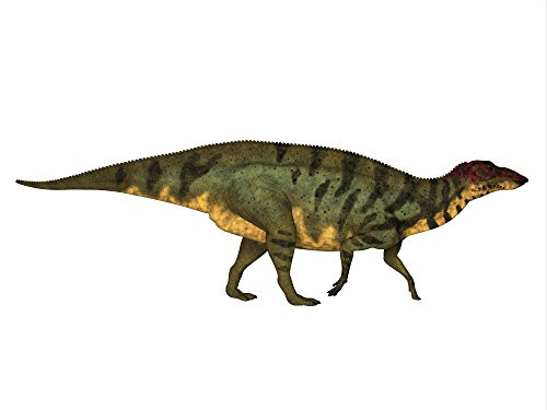 Posterazzi Poster Print Collection Side Profile of a Shuangmiaosaurus Dinosaur Corey Ford/Stocktrek Images, (16 x 12), Multicolored