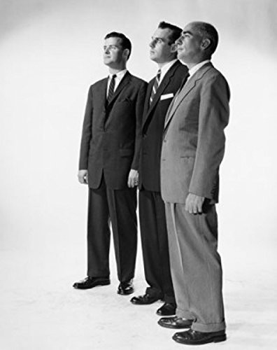 Side profile of three businessmen standing side by side Poster Print (18 x 24)