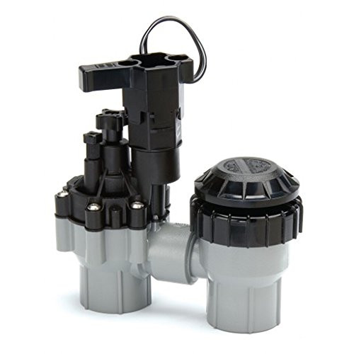 Rainbird Plastic ASVF Series Electric Valve with Flow Control and Atmospheric Backflow Preventor, 3/4"/24 VAC