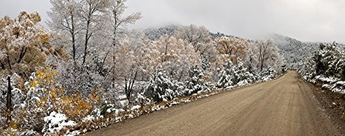 Posterazzi Snow Covered Trees at Roadside El Salto Taos County New Mexico USA Poster Print, (27 x 9), Varies