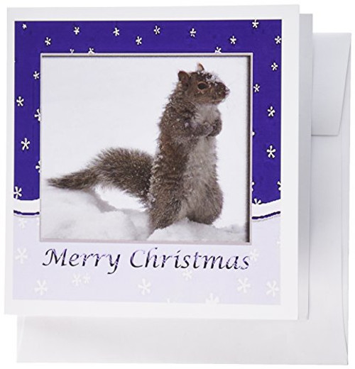 3dRose Squirrel in the Snow, Merry Christmas - Greeting Cards, 6 x 6 inches, set of 6 (gc_15189_1) 3dRose Squirrel in the Snow, Merry Christmas - Greeting Cards, 6 x 6 inches, set of 6 (gc_15189_1)