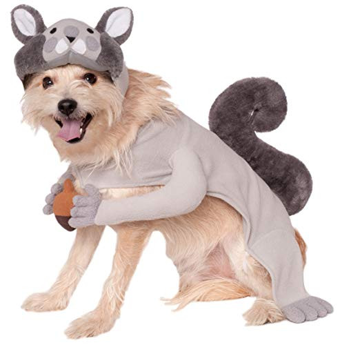 Rubie's Squirrel Pet Costume, Medium, Multicolor