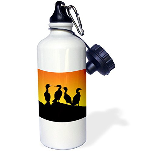3dRose wb_89091_1"Tarpon Springs, Florida, Cormorant birds US10 DSN0000 Deborah Sandidge" Sports Water Bottle, 21 oz, White 3dRose wb_89091_1"Tarpon Springs, Florida, Cormorant birds US10 DSN0000 Deborah Sandidge" Sports Water Bottle, 21 oz, White