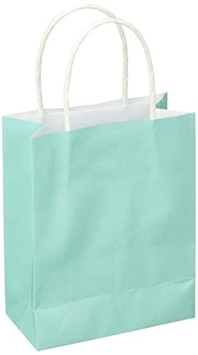 amscan Kraft Bags | Robins Egg Blue | Party Accessory | 24 Ct.