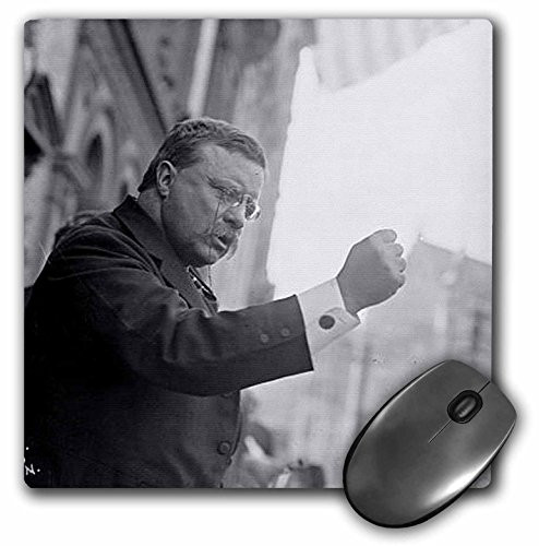 3dRose Teddy Roosevelt The Bull Moose Mouse Pad, 8" x 8" (mp_77442_1)