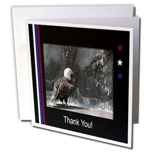 3dRose Thank you, Eagle by Waterfall - Greeting Cards, 6 x 6 inches, set of 12 (gc_40483_2) 3dRose Thank you, Eagle by Waterfall - Greeting Cards, 6 x 6 inches, set of 12 (gc_40483_2)