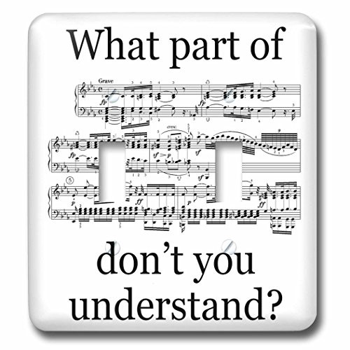 3dRose LLC lsp_112161_2 The Musicians Music Double Toggle Switch