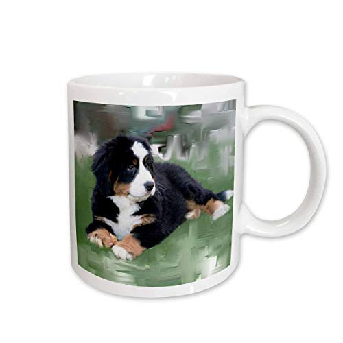 3dRose Bernese Mountain Dog Mug, 15-Ounce