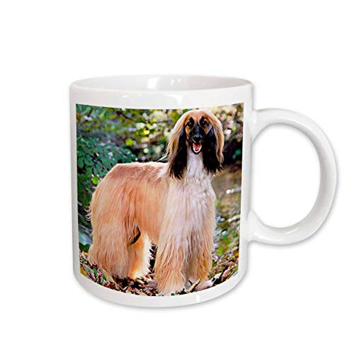 3dRose Afghan Hound Ceramic Mug, 15-Ounce