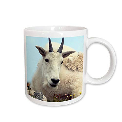 3dRose Alpine Goat Ceramic Mug, 15-Ounce 3dRose Alpine Goat Ceramic Mug, 15-Ounce