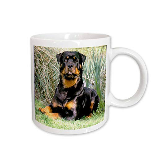 3dRose Rottweiler Mug, 15-Ounce