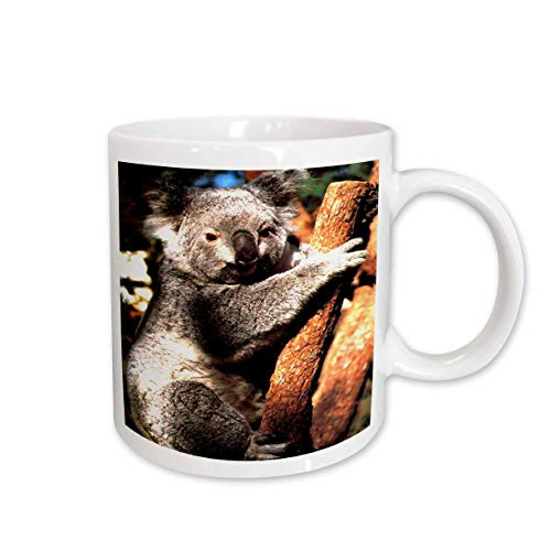 3dRose Koala Mug, 11-Ounce