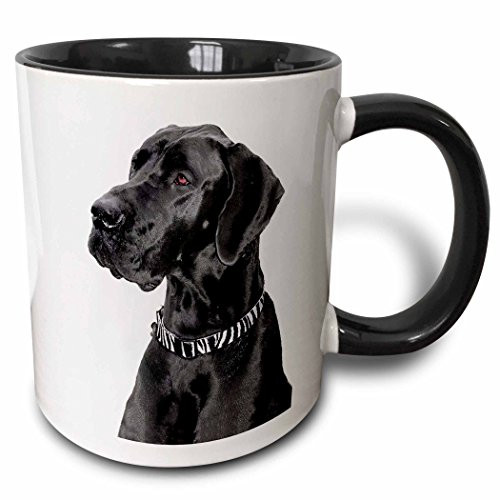 3dRose Black Great Dane Two Tone Black Mug, 11 oz, Black/White