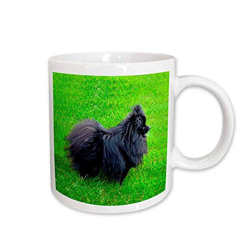 3dRose Black Pomeranian Mug, 11-Ounce