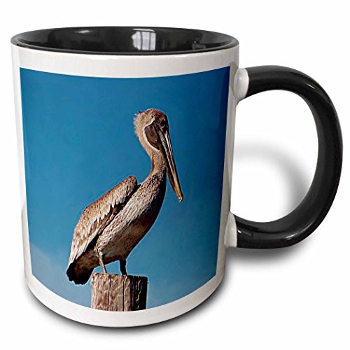 3dRose 3dRose Pelican - Two Tone Black Mug, 11oz (mug_605_4), Black/White