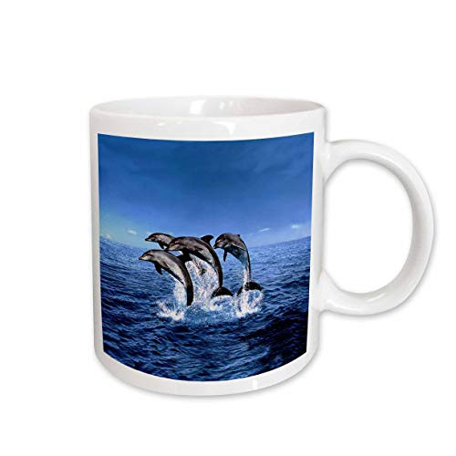 3dRose Dolphins Ceramic Mug, 15-Ounce 3dRose Dolphins Ceramic Mug, 15-Ounce