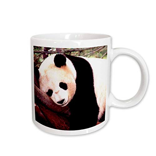 3dRose Panda Bear Mug, 15-Ounce