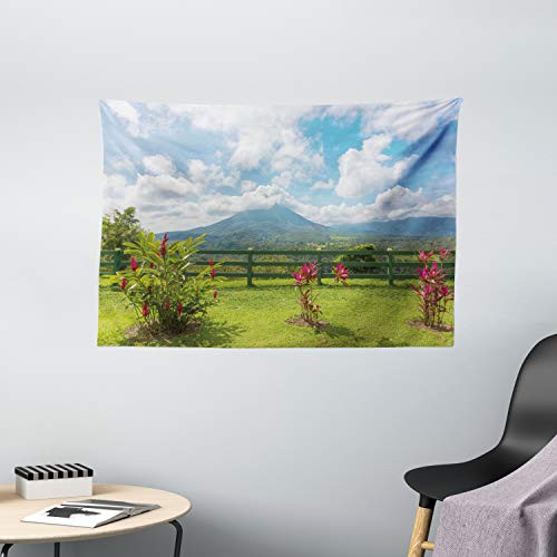 Ambesonne Volcano Tapestry, View of The Arenal Volcano from Observation Point Costa Rica Scenic View, Wide Wall Hanging for Bedroom Living Room Dorm, 60" X 40", Green Blue