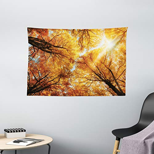 Ambesonne Forest Tapestry, Fall Autumn Season Sun Beaming Through The Trees Freshening Picture, Wide Wall Hanging for Bedroom Living Room Dorm, 60" X 40", Brown Orange
