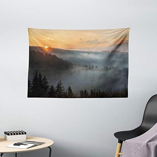 Ambesonne Nature Tapestry, Morning at Foggy Mountain Range Sunrise Pine Tree Forest Dramatic Misty Sky Scenery, Wide Wall Hanging for Bedroom Living Room Dorm, 60" X 40", Misty Grey Ambesonne Nature Tapestry, Morning at Foggy Mountain Range Sunrise Pine Tree Forest Dramatic Misty Sky Scenery, Wide Wall Hanging for Bedroom Living Room Dorm, 60" X 40", Misty Grey