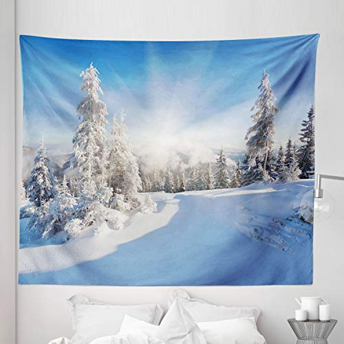 Lunarable Snow Tapestry King Size, Frostynd Sunny Day in Snow Clear Sky Snowfall Ideal Winter Landscape Sun Rays, Wall Hanging Bedspread Bed Cover Wall Decor, 104" X 88", Multicolor