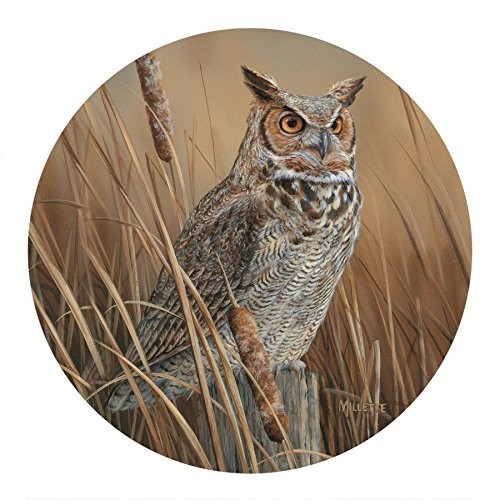 Thirstystone Drink Coaster Set, Owl